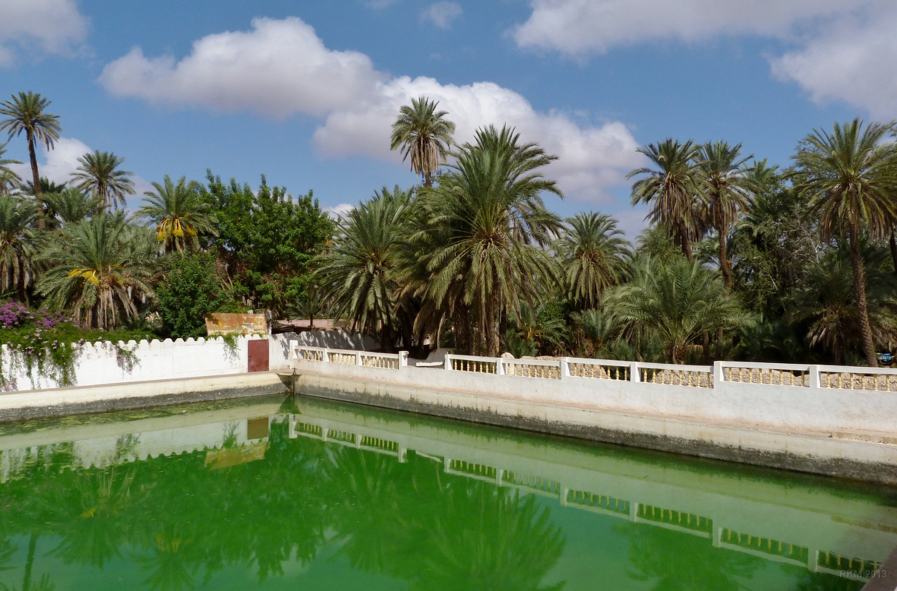 Oasis de Tiout, bassin de réserve d'eau pour la palmeraie